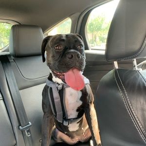 Meet your Posher, Jason